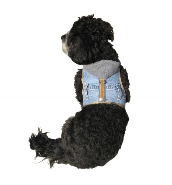 Hoodie Harness Waggs to Riches